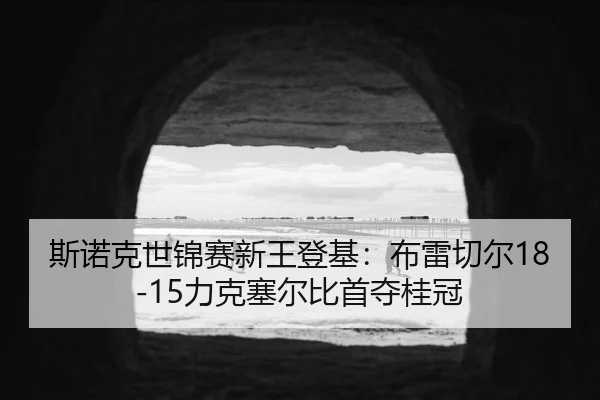 si-nuo-ke-shi-jin-sai-xin-wang-deng-ji-bu-lei-qie-er-li-ke-sai-er-bi-shou-duo-gui-guan-2-694.jpg