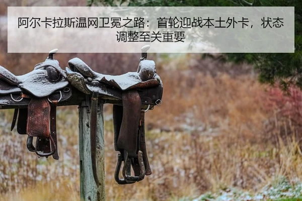 a-er-ka-la-si-wen-wang-wei-mian-zhi-lu-shou-lun-ying-zhan-ben-tu-wai-ka-zhuang-tai-tiao-zheng-zhi-guan-zhong-yao-2-417.jpg
